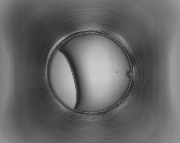 X0000110910780200906181005