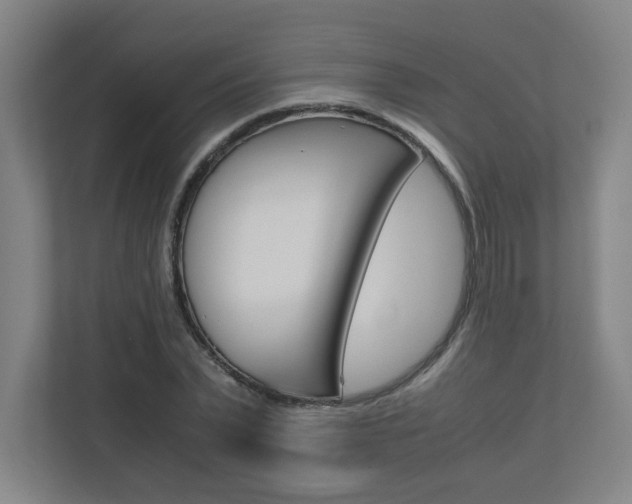 X0000110910783200906181005