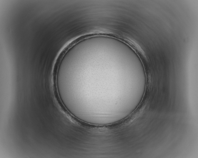 X0000110910784200906181005