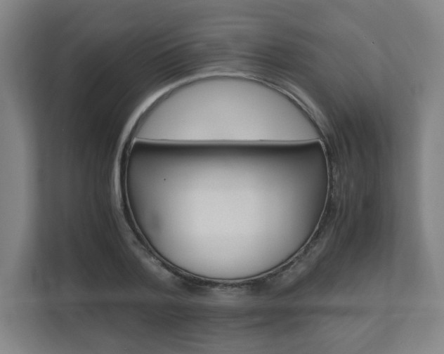 X0000110910788200906181005