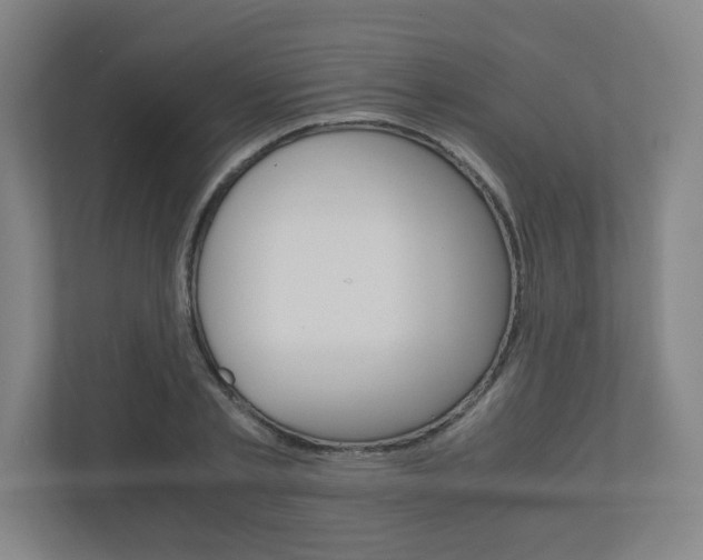 X0000110910789200906181005