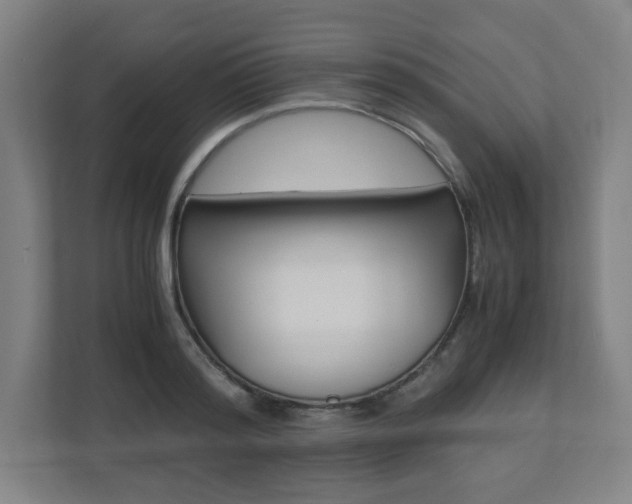 X0000110910796200906181005