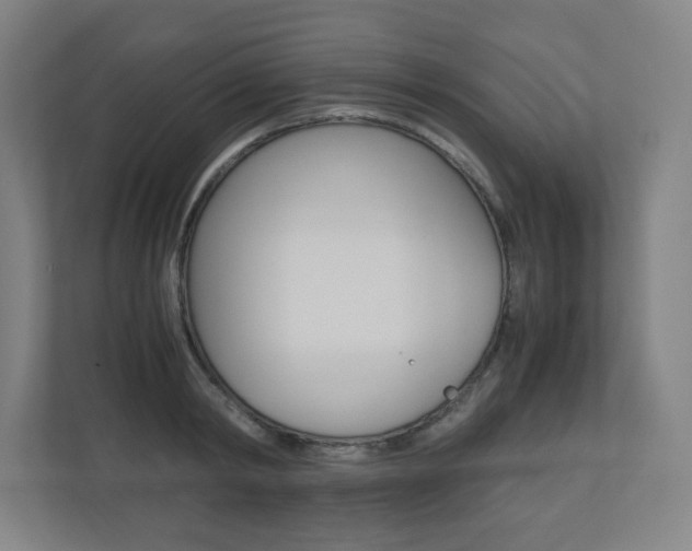 X0000110910798200906181005