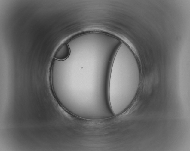 X0000110910799200906181005