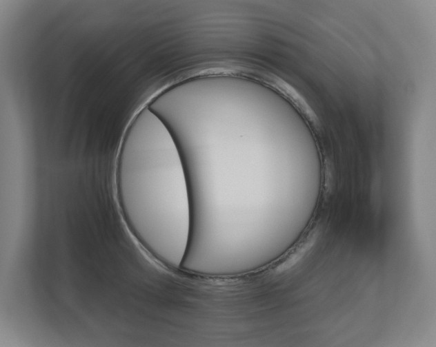 X0000110910802200906181005