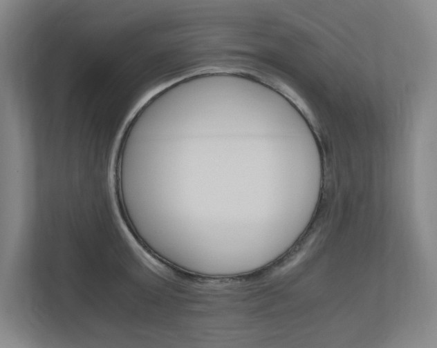 X0000110910803200906181005