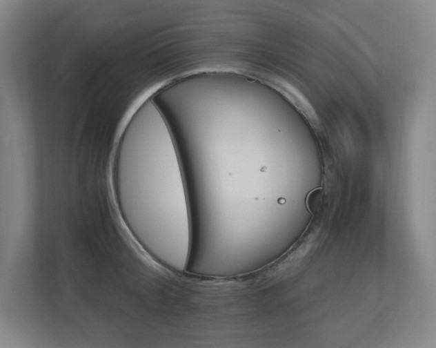 X0000110910804200906181005