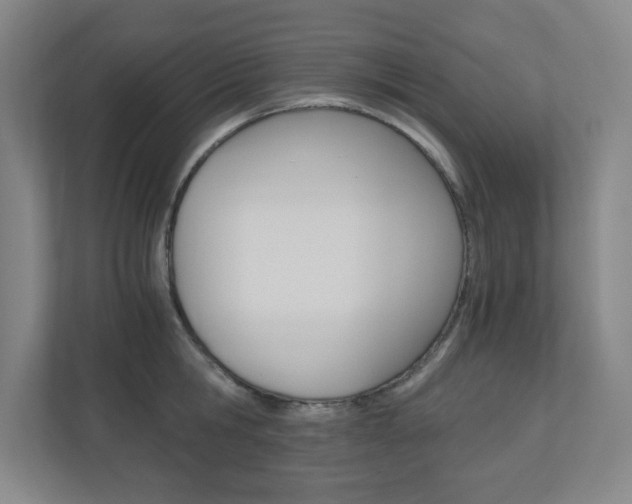 X0000110910806200906181005
