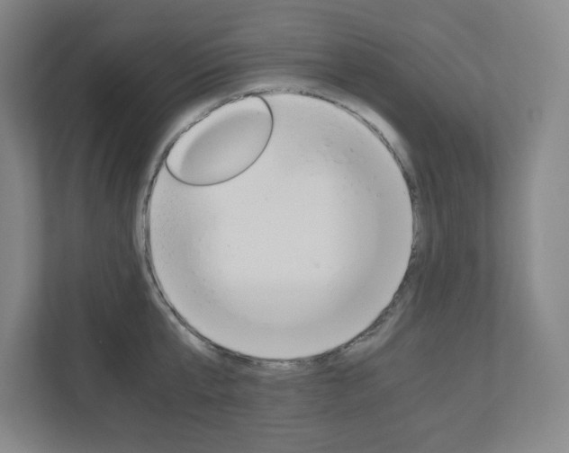 X0000110910807200906181005