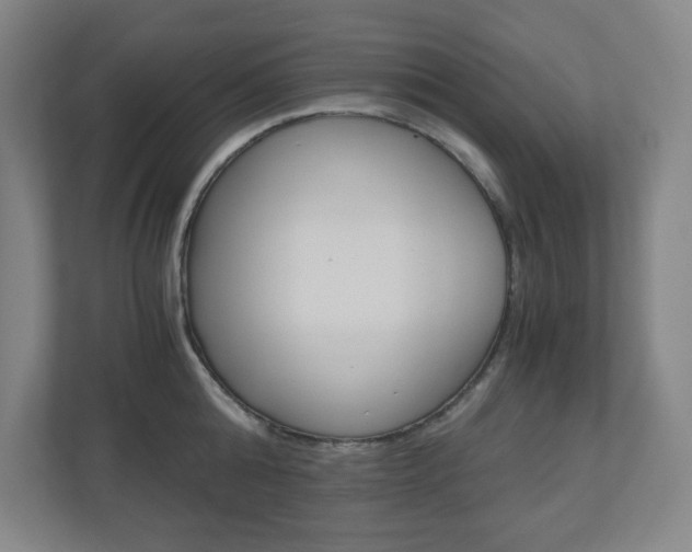 X0000110910808200906181005