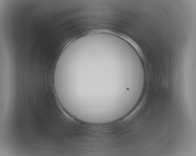 X0000110910809200906181005