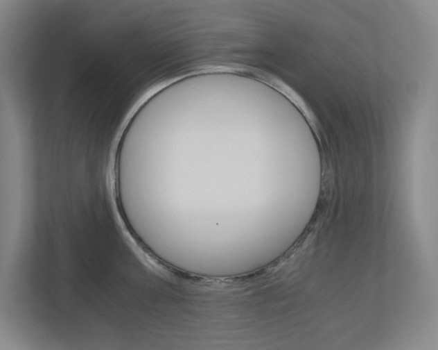 X0000110910811200906181005