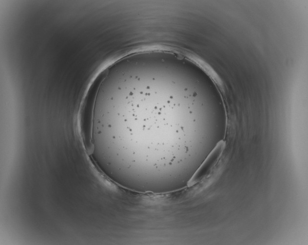 X0000110910813200906181005