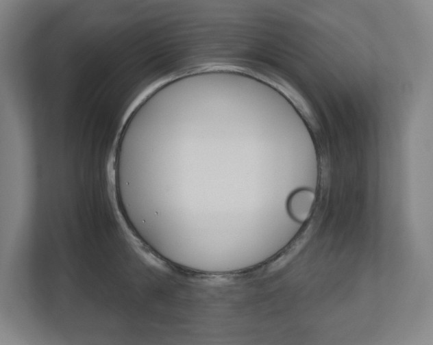 X0000110910814200906181005