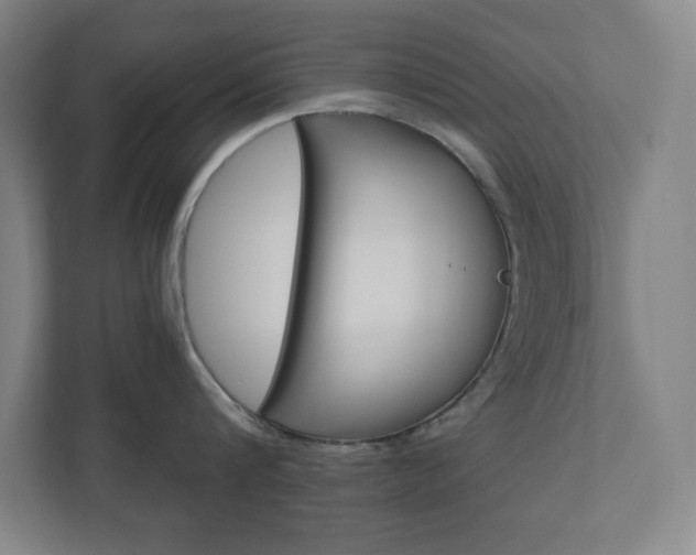 X0000110910816200906181005