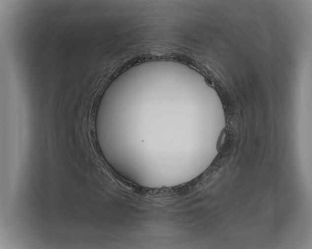 X0000110910817200906181004