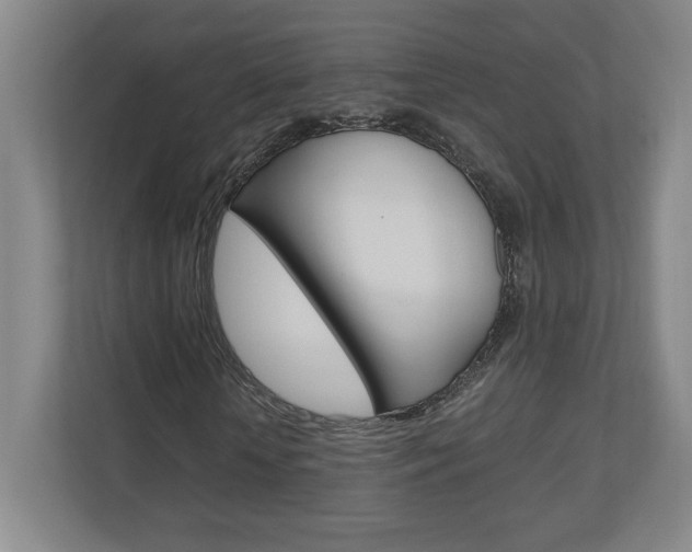X0000110910818200906181004