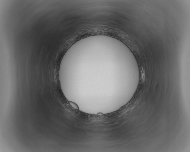 X0000110910819200906181004
