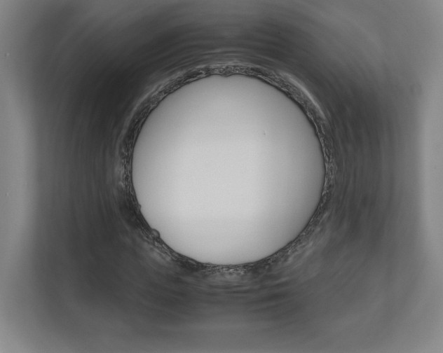 X0000110910823200906181004