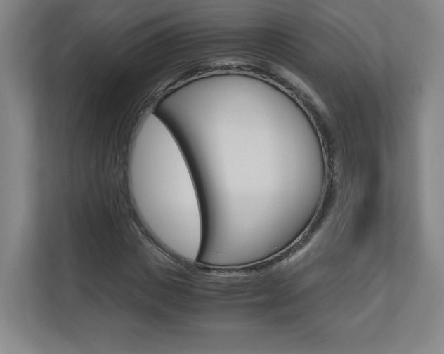 X0000110910825200906181004