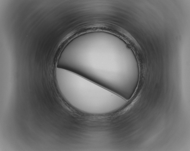 X0000110910826200906181004