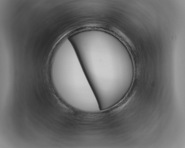 X0000110910829200906181004
