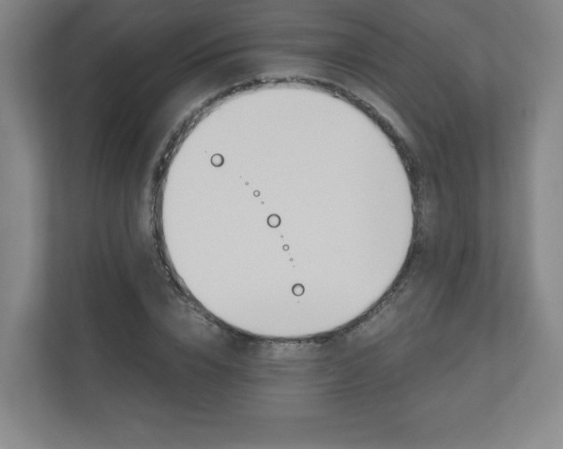 X0000110910832200906181004
