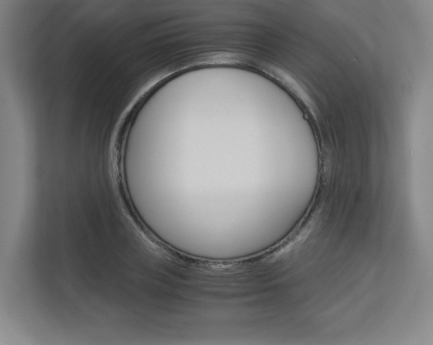 X0000110910835200906181004
