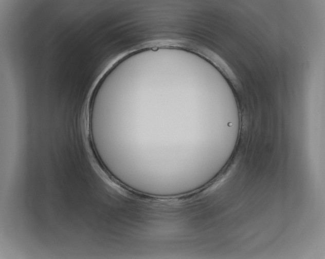 X0000110910844200906181004