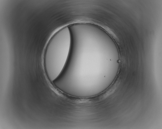 X0000110910846200906181004