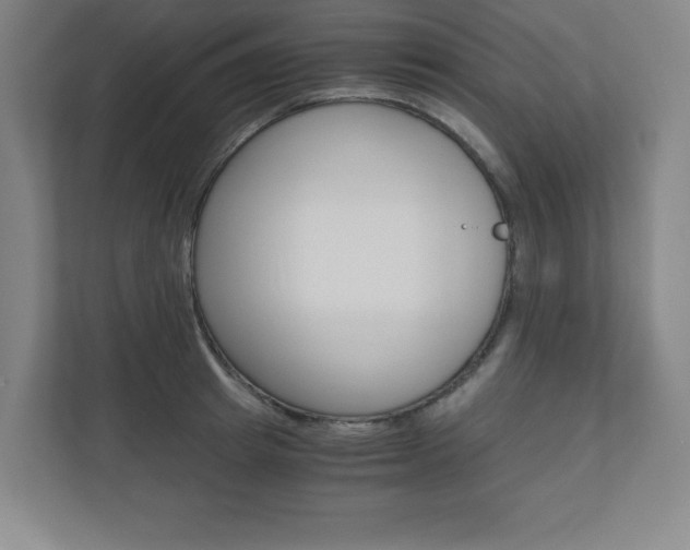 X0000110910849200906181004