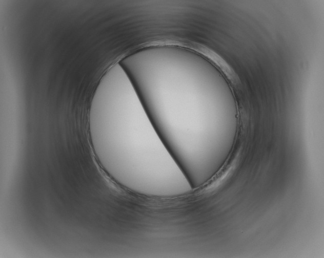 X0000110910857200906181005