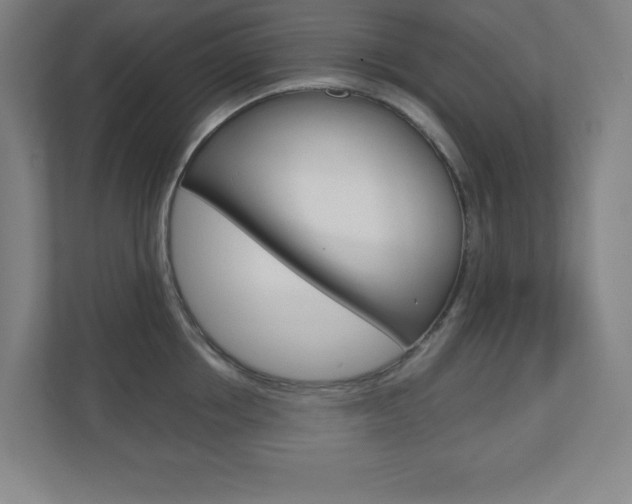 X0000110910858200906181005