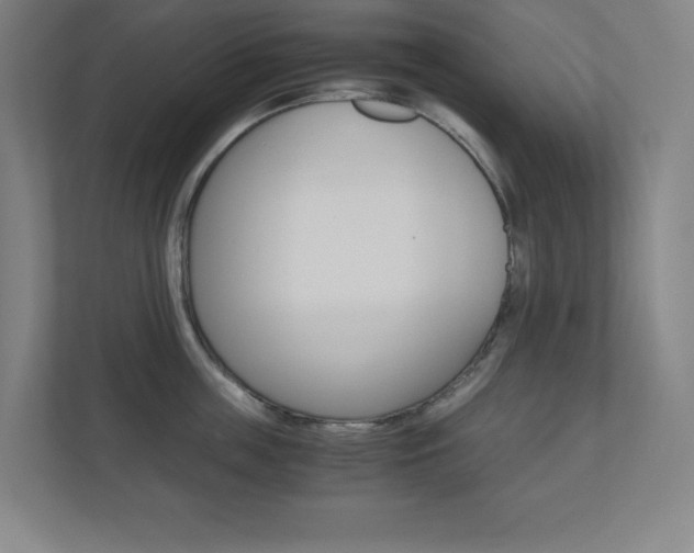 X0000110910859200906181005