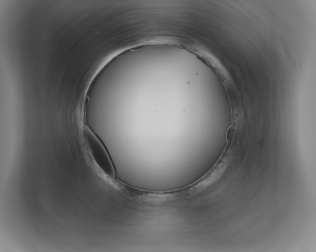 X0000110910860200906181005