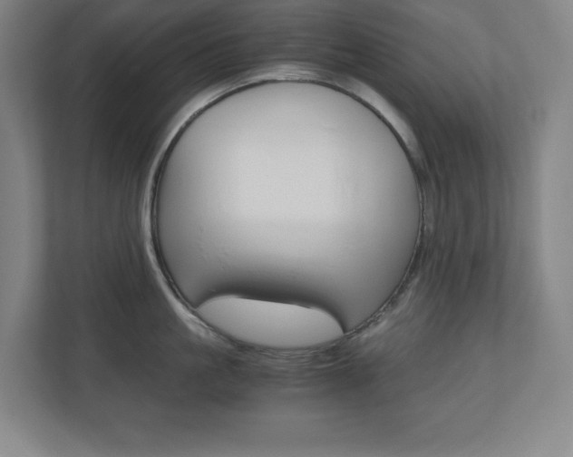 X0000110910861200906181005