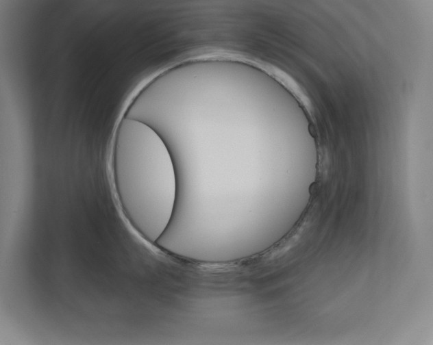 X0000110910863200906181005