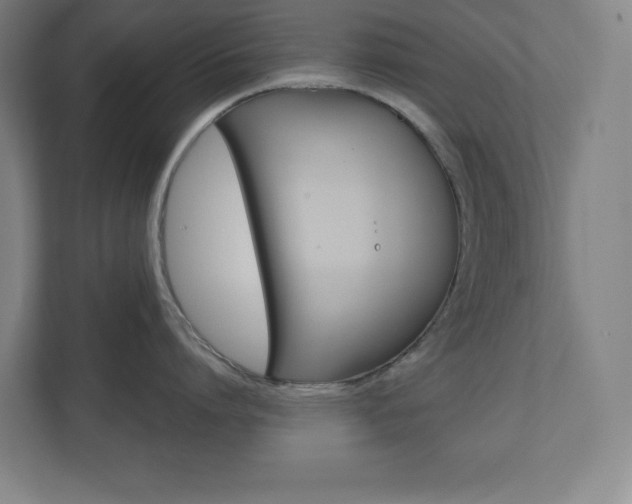 X0000110910864200906181005