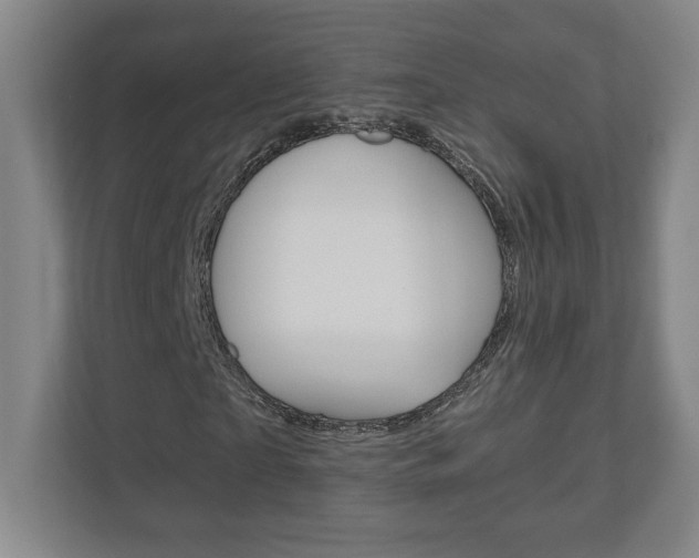X0000110910865200906181004