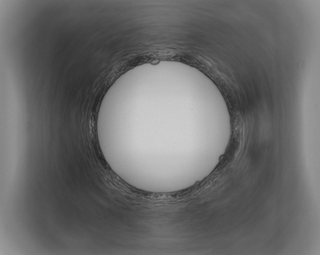 X0000110910866200906181004
