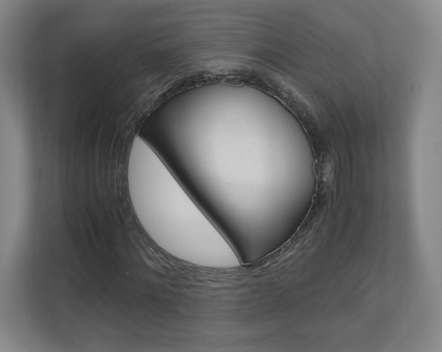 X0000110910868200906181004