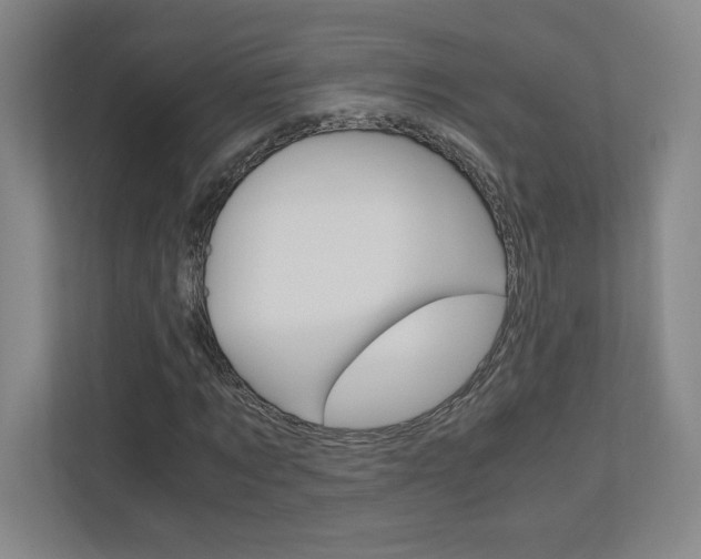 X0000110910869200906181004