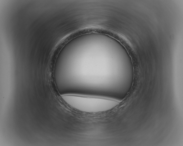 X0000110910872200906181004