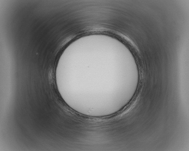 X0000110910873200906181004