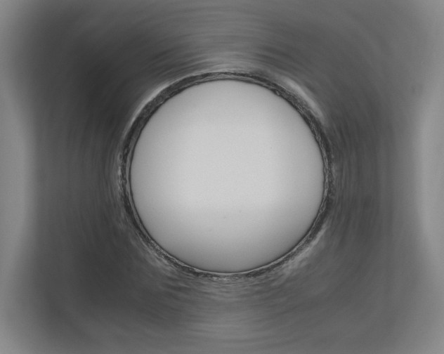 X0000110910875200906181004