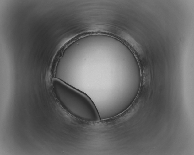 X0000110910876200906181004