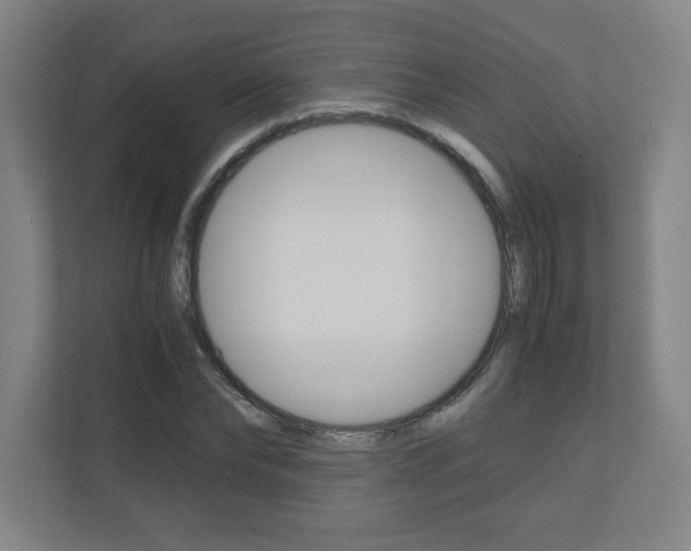 X0000110910878200906181004