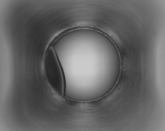 X0000110910880200906181004
