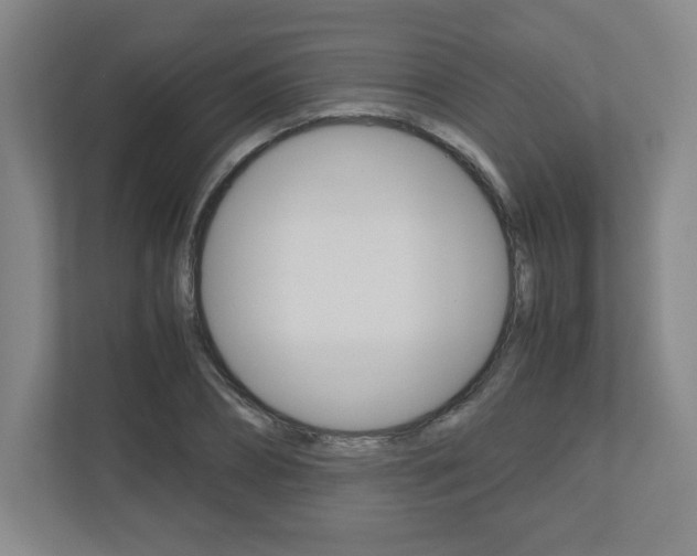 X0000110910882200906181004