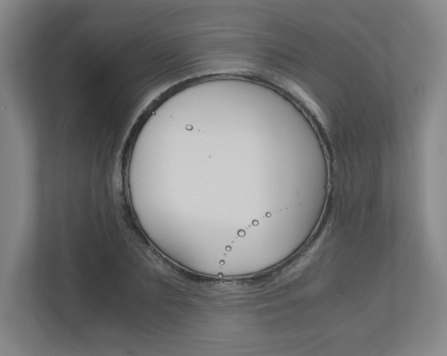 X0000110910883200906181004